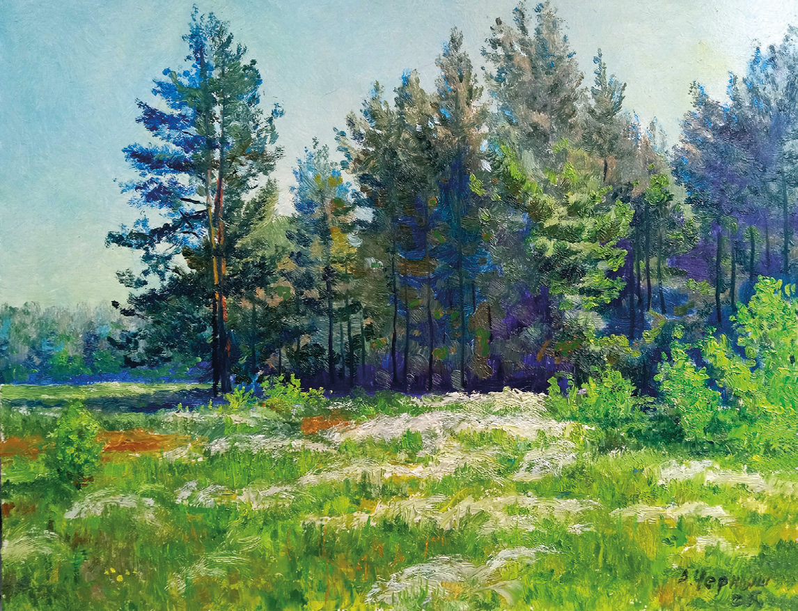 Фотография Ковыль