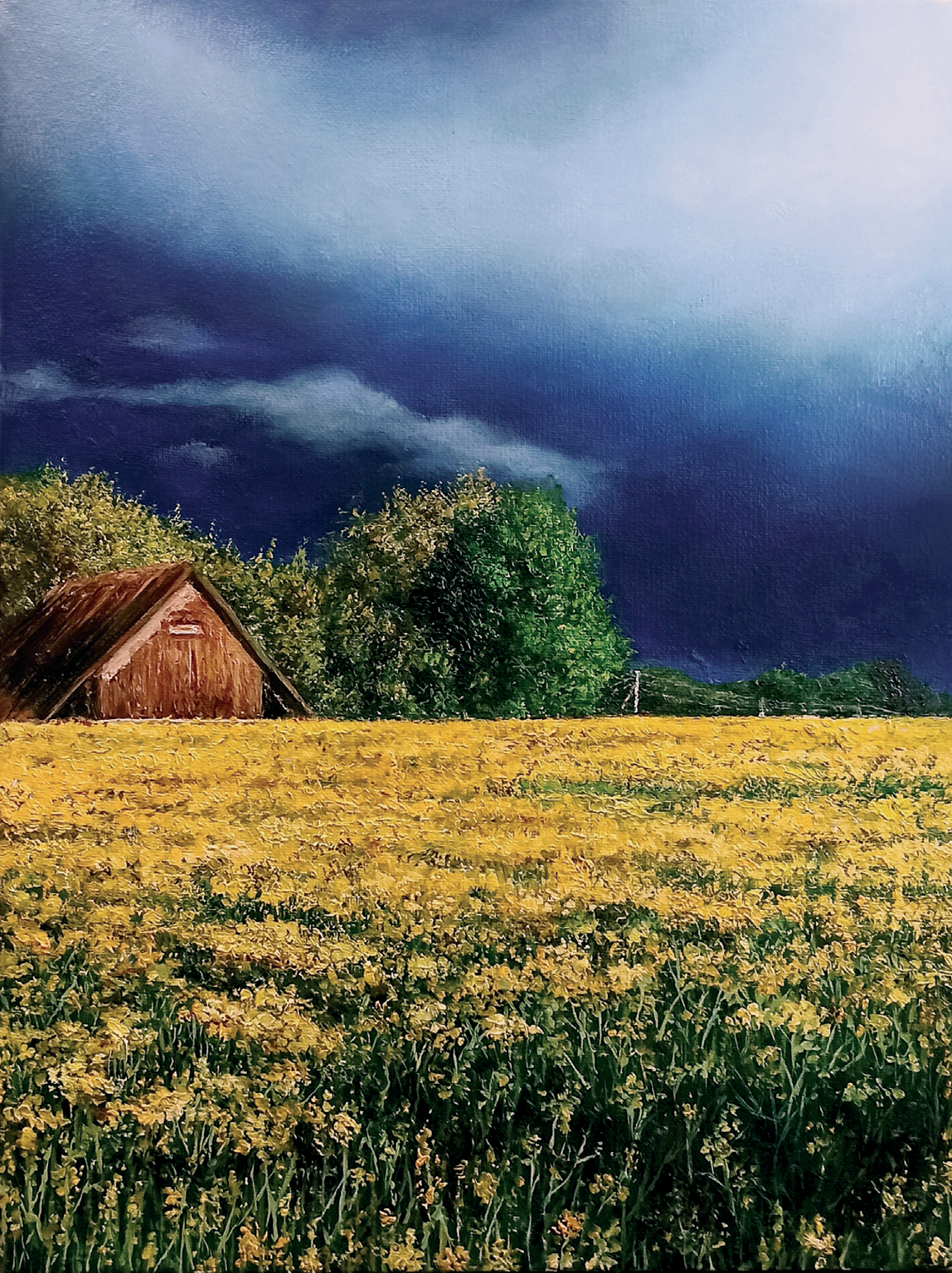 Фотография Рапсовое поле