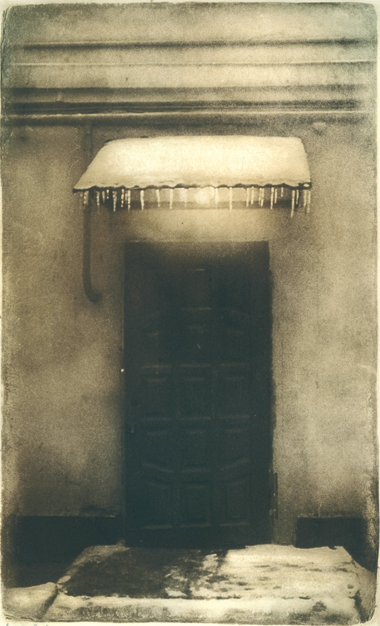 Фотография Корни
