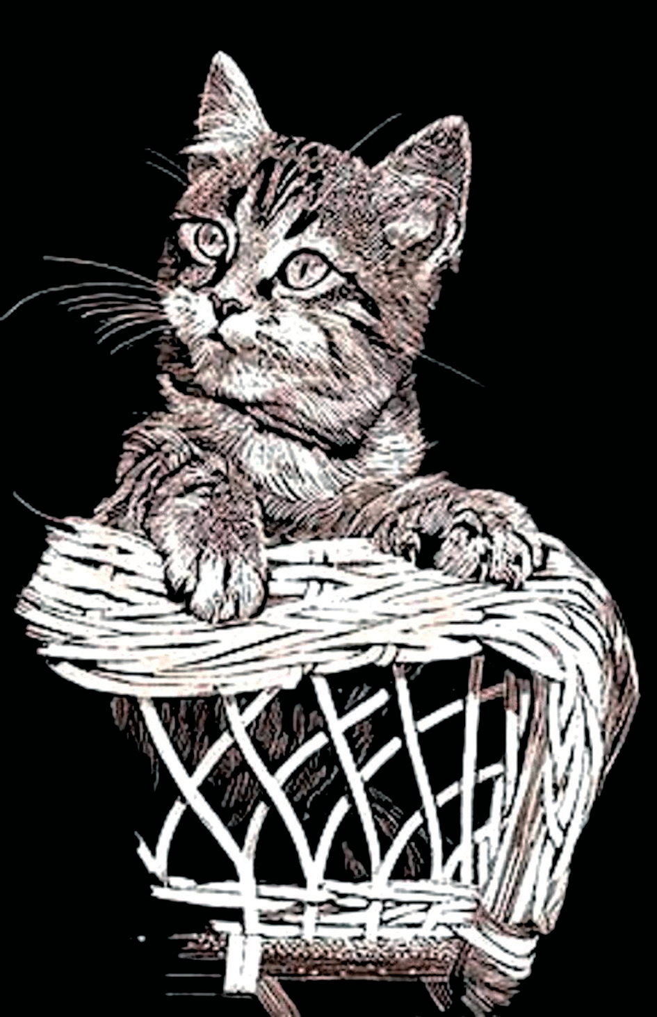 Котенок в корзине