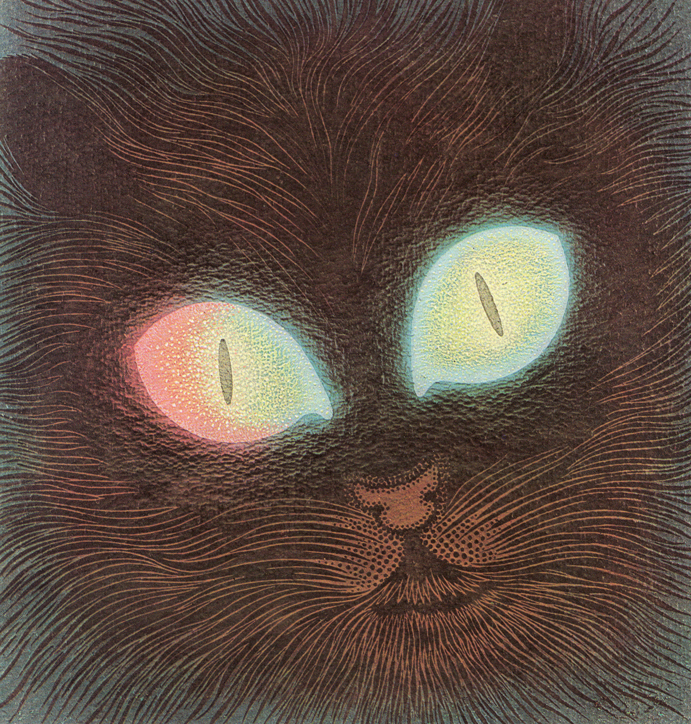 Кот