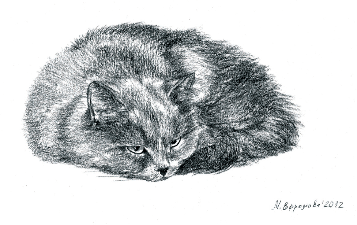 Фотография Кошка ест