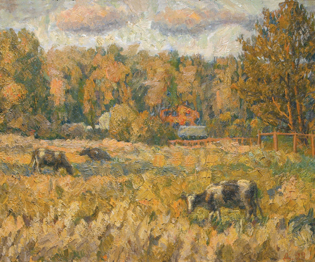 Коровы
