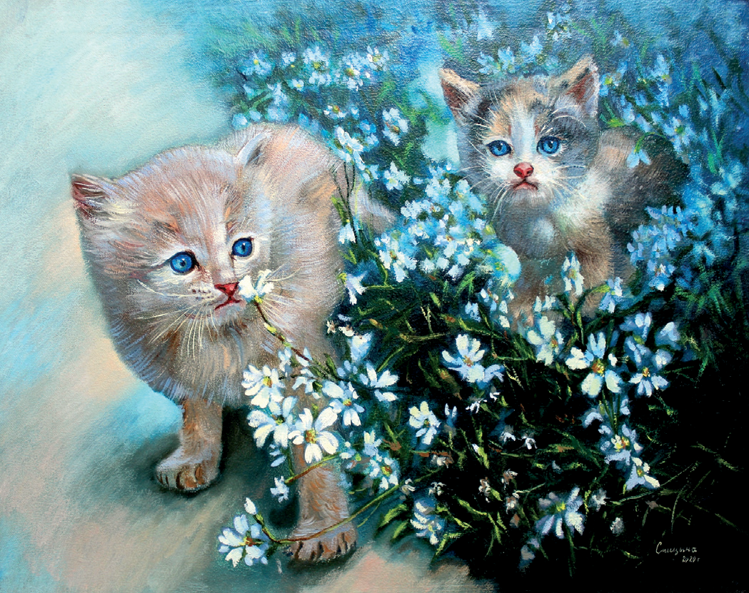 Котята