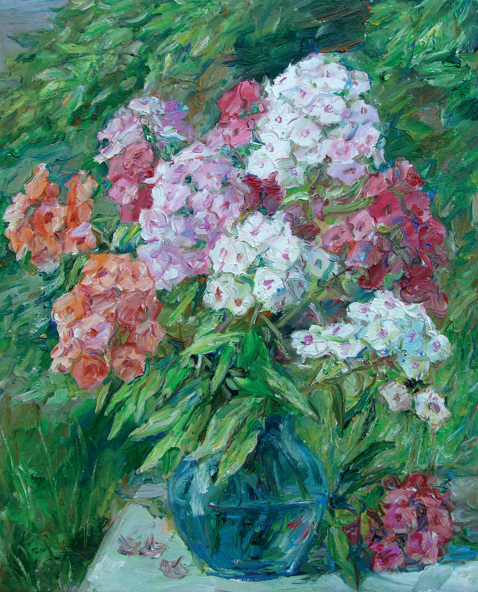 Флоксы