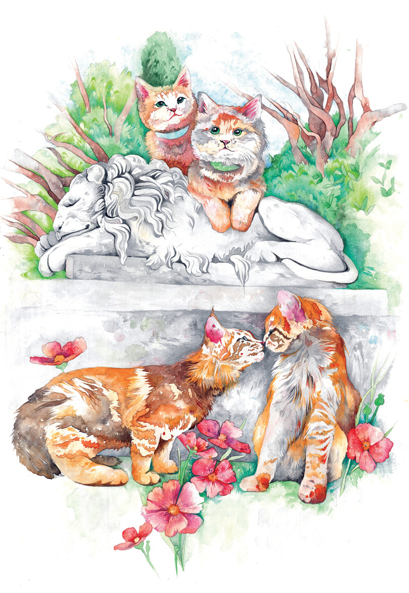 Коты