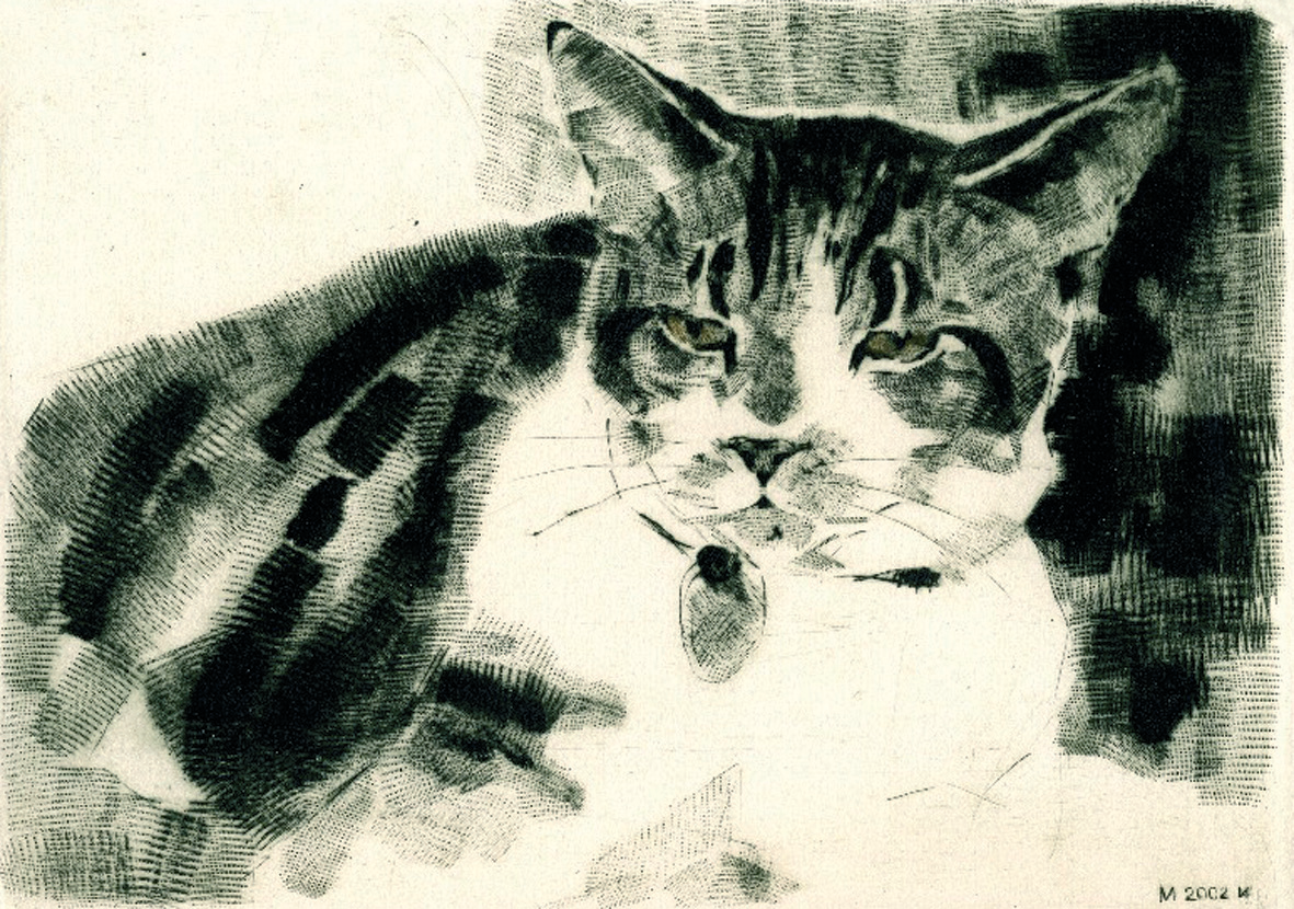Спящий кот