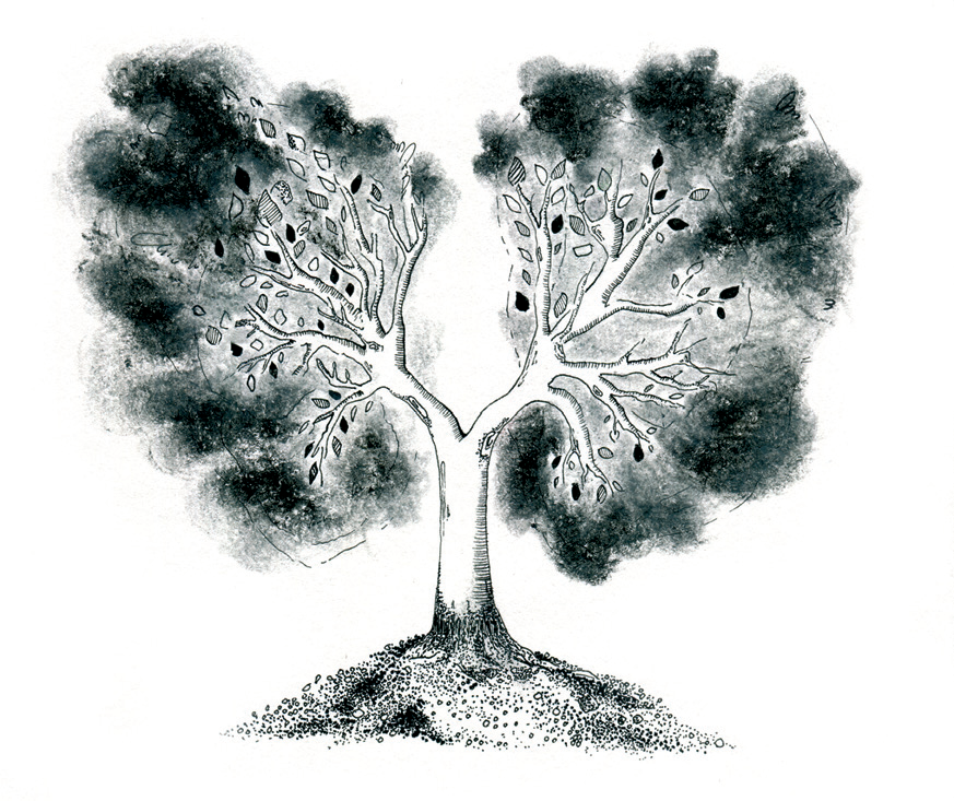 Фотография Lungs Tree