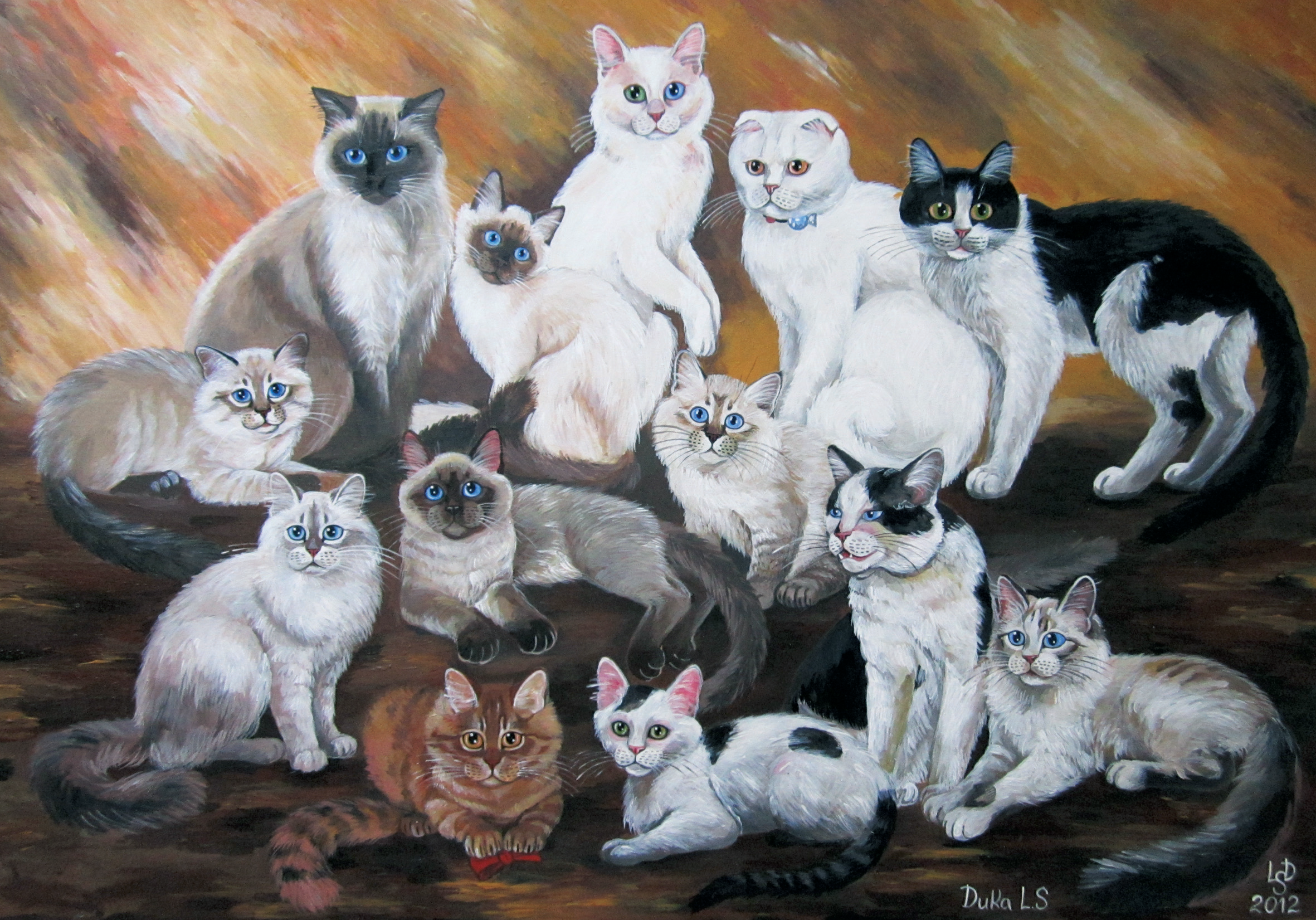 13 кошек, или Вот оно, счастье