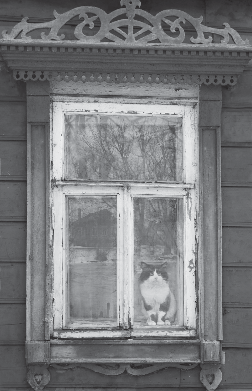 Тихое утро