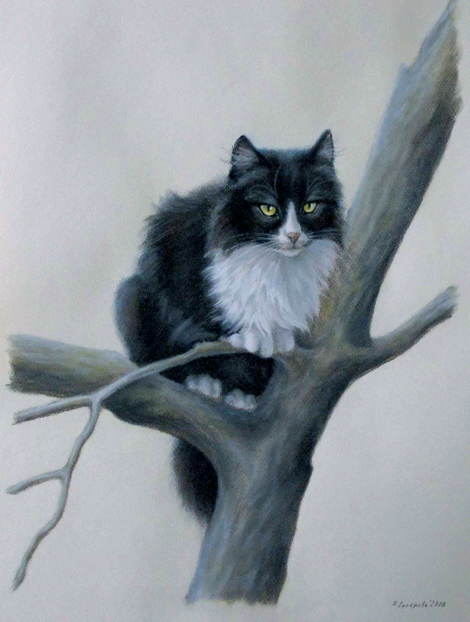 Кот на дереве