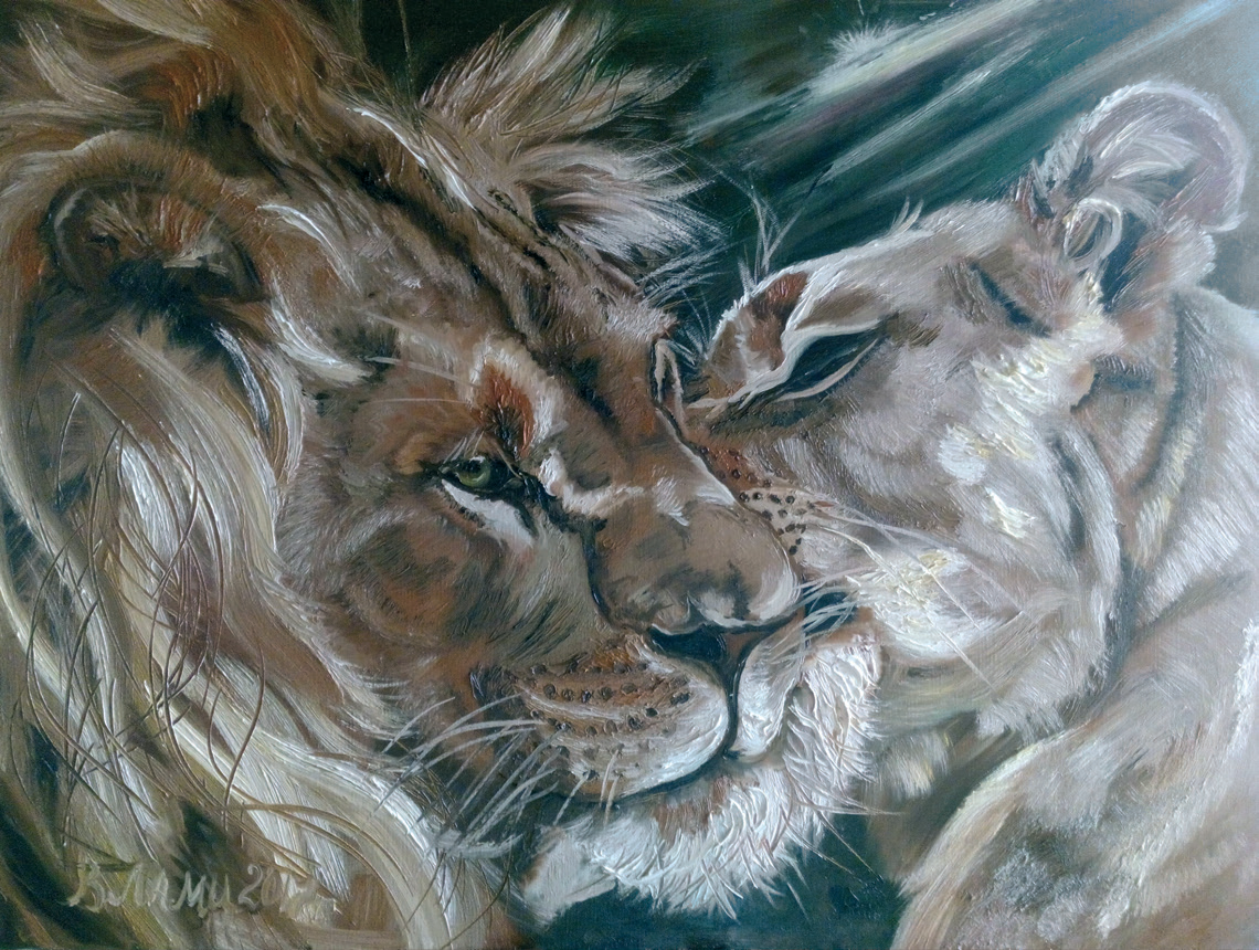 Львы. Ласка.
