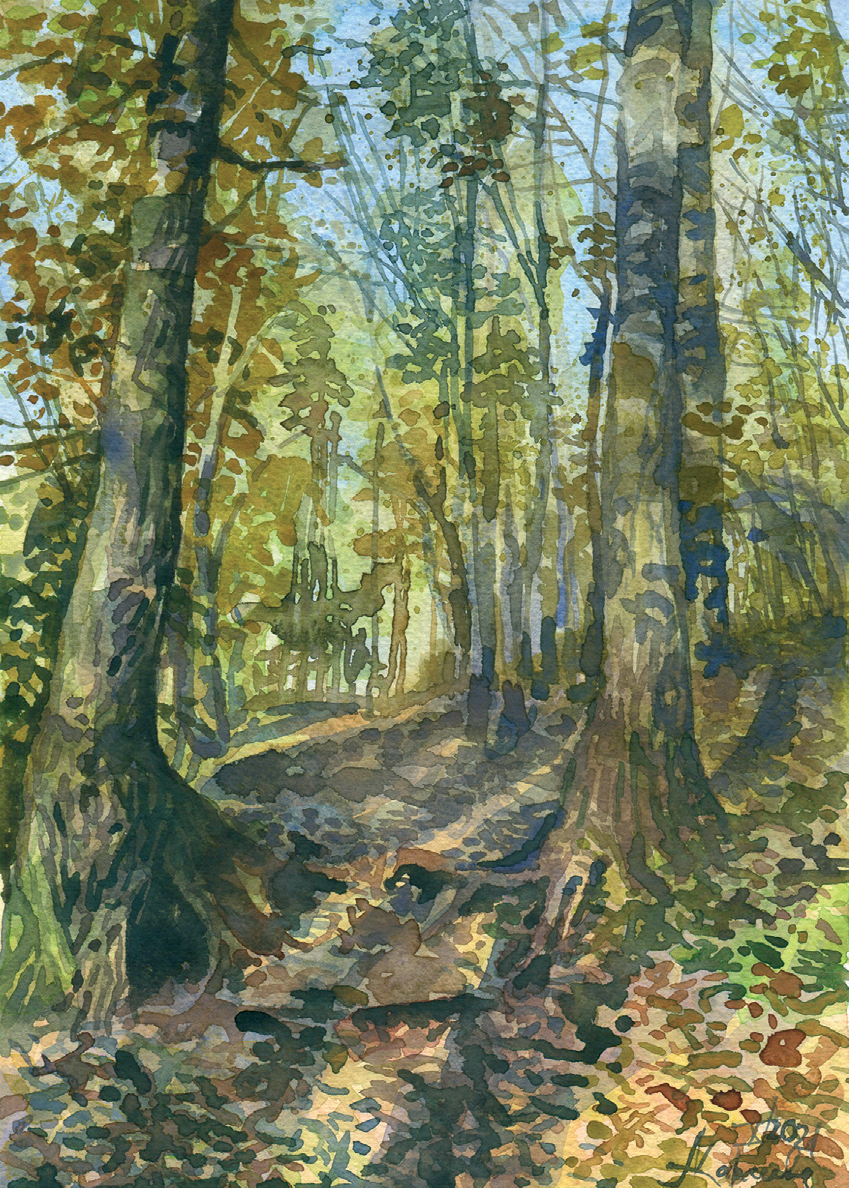 Осеннее солнце