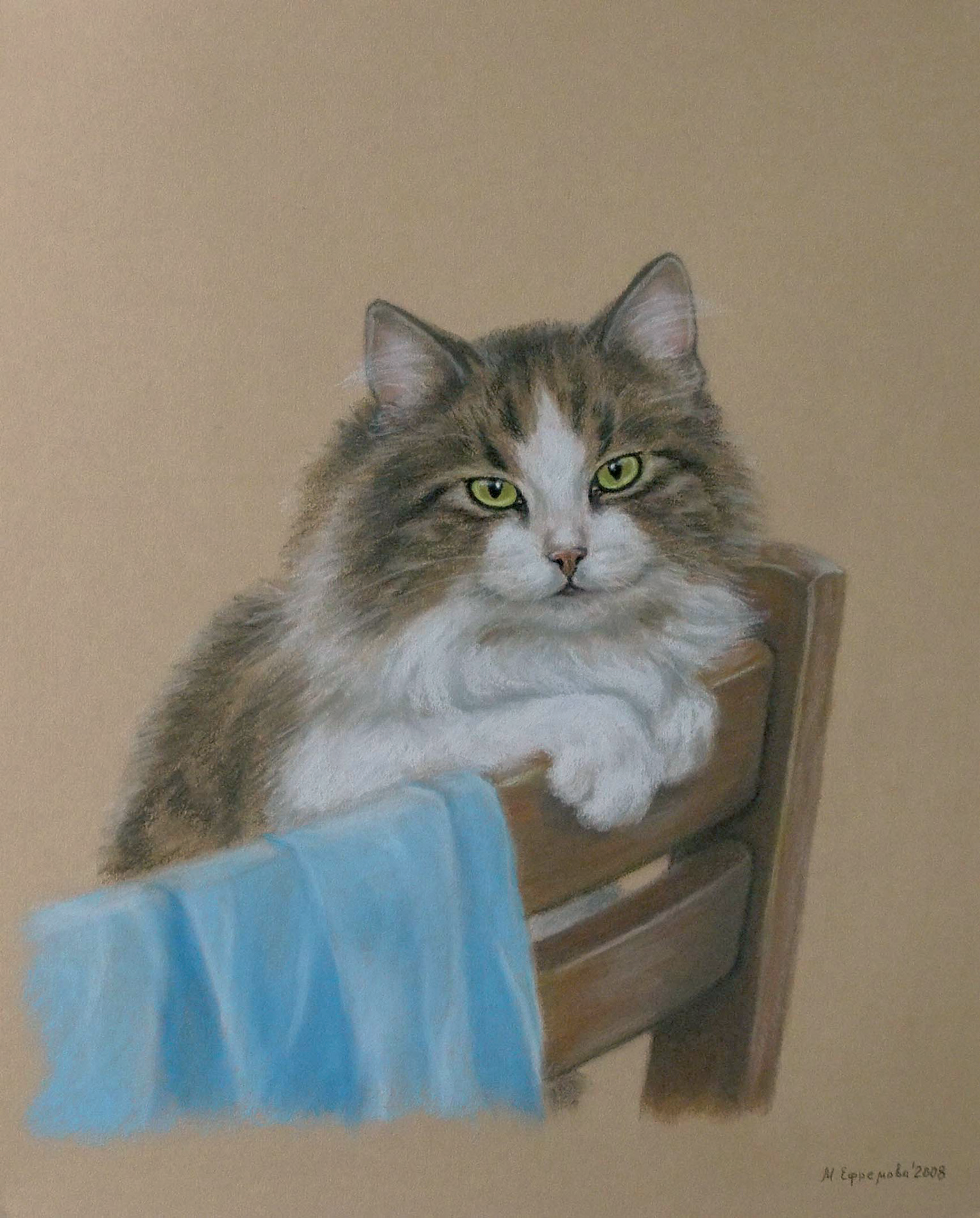 Кошка на стуле