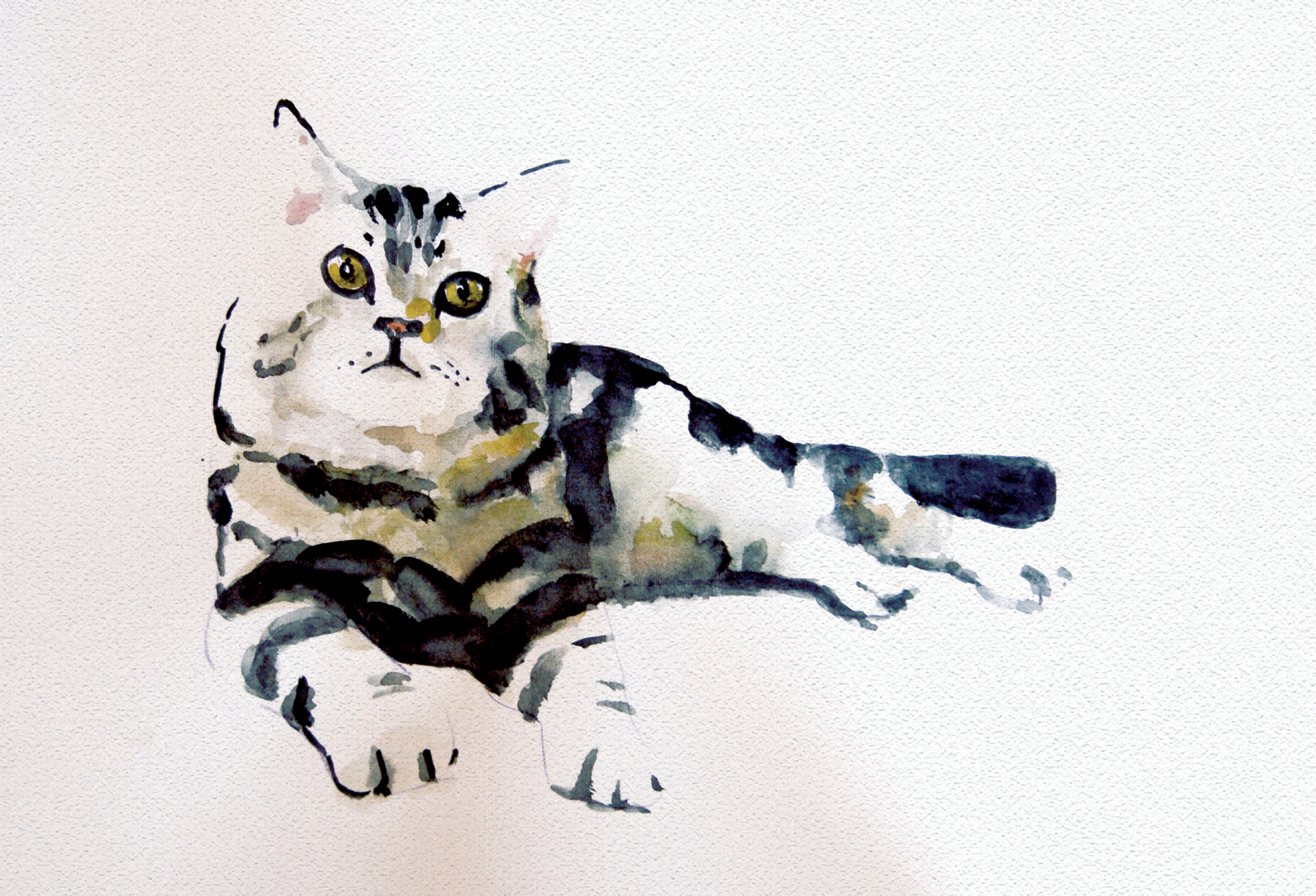 Кошечка