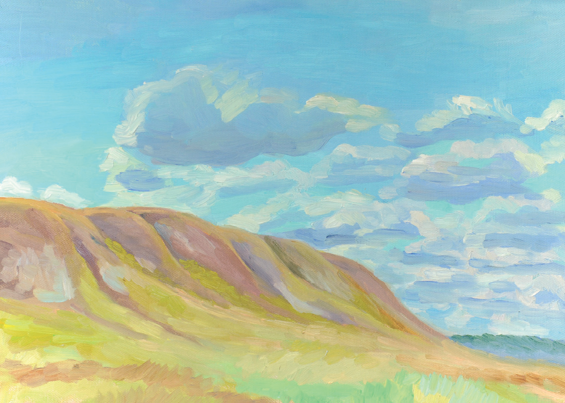 Фотография Полевые цветы