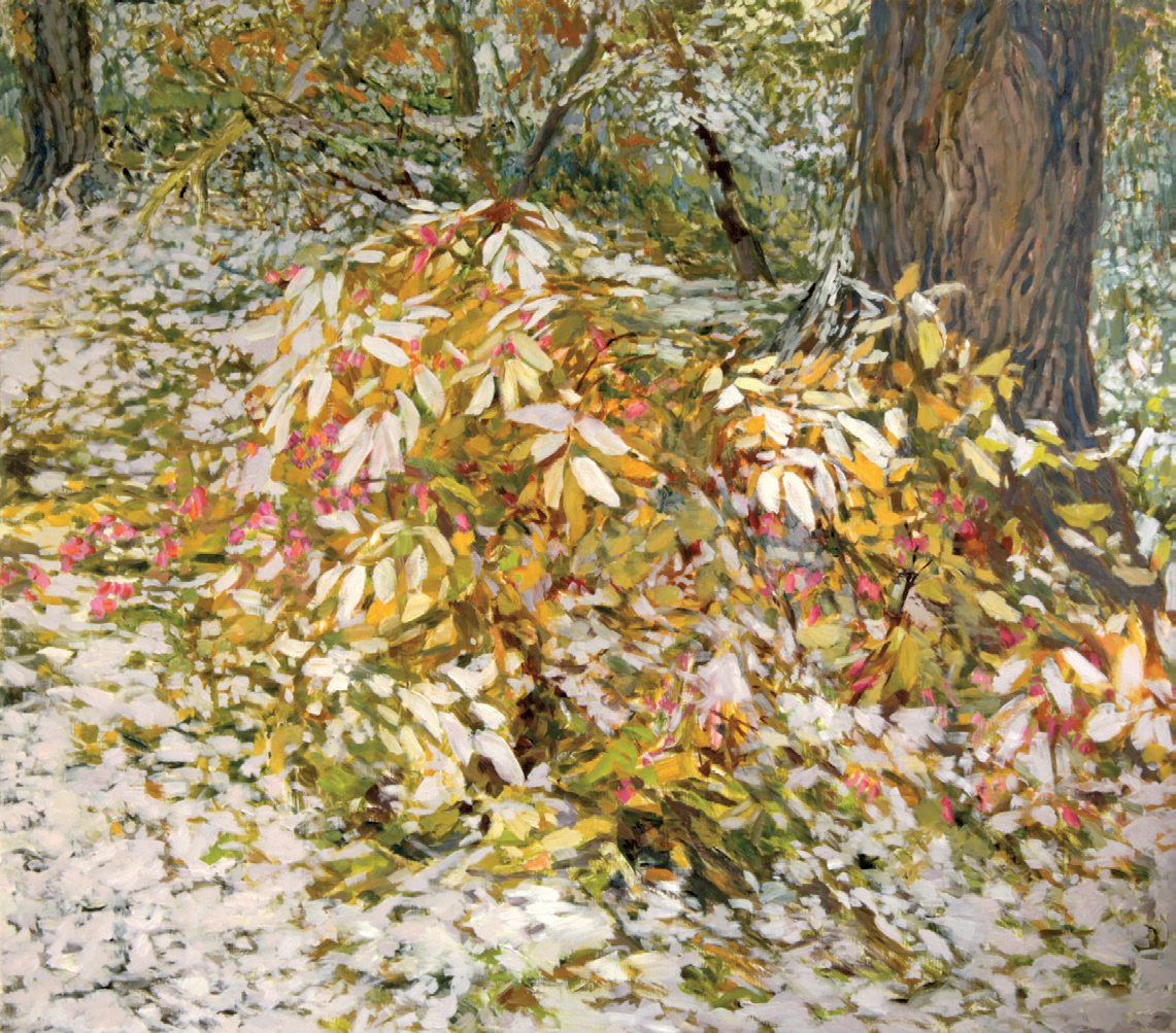 Покров