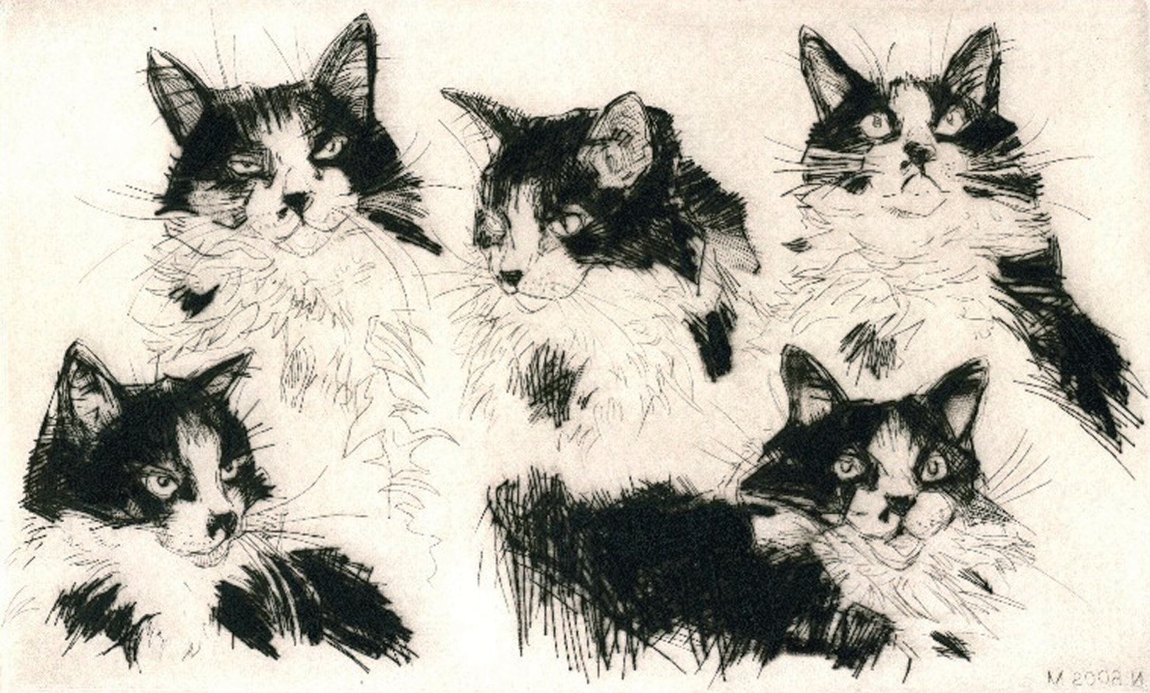 Кот Сильвестр