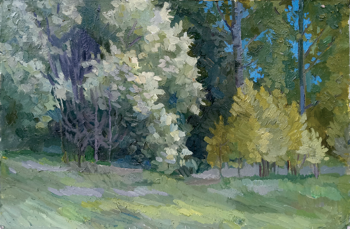Фотография Березки