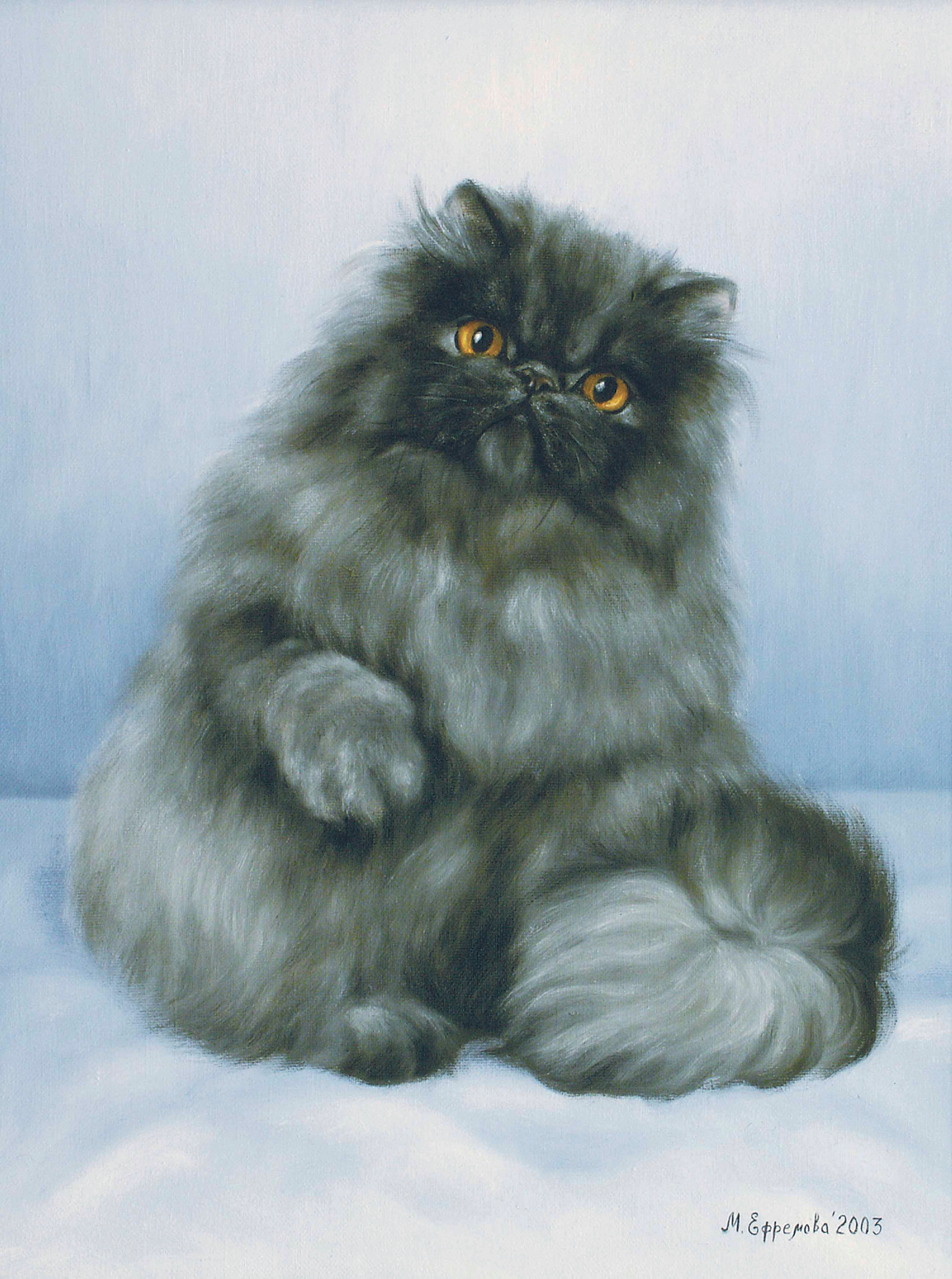 Персидский кот