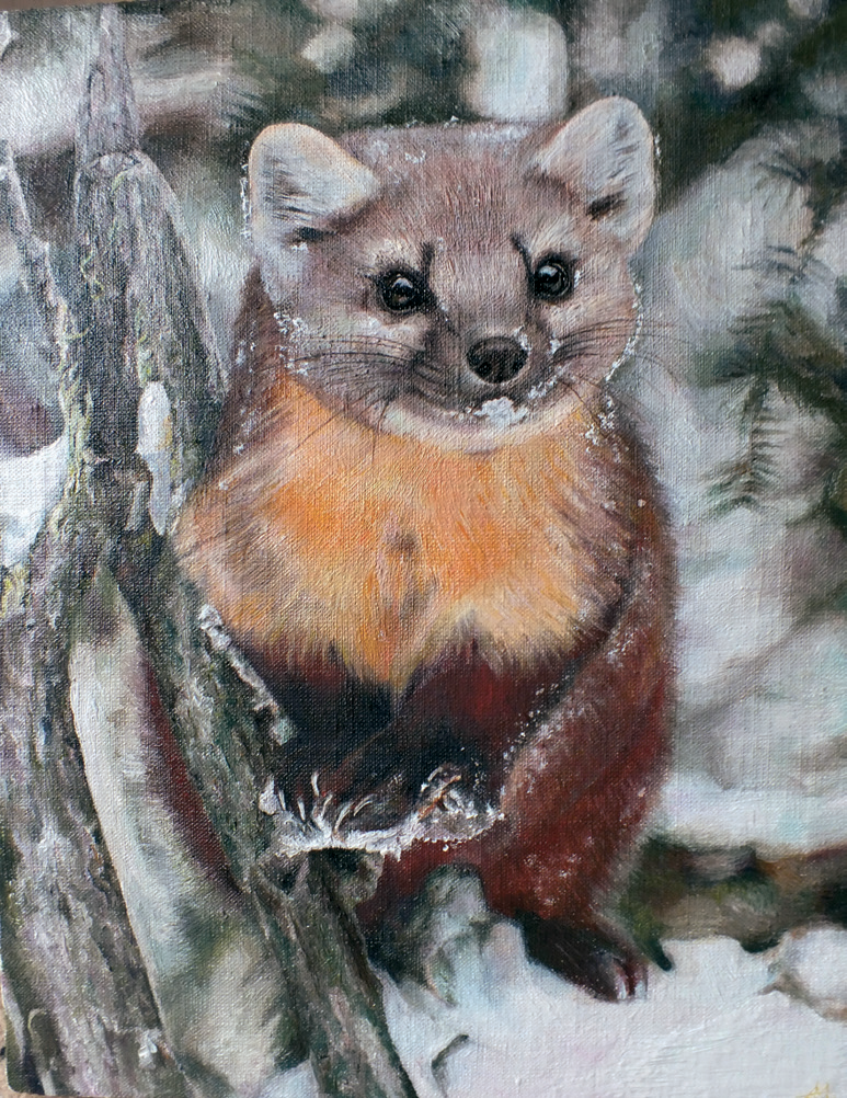 Куница