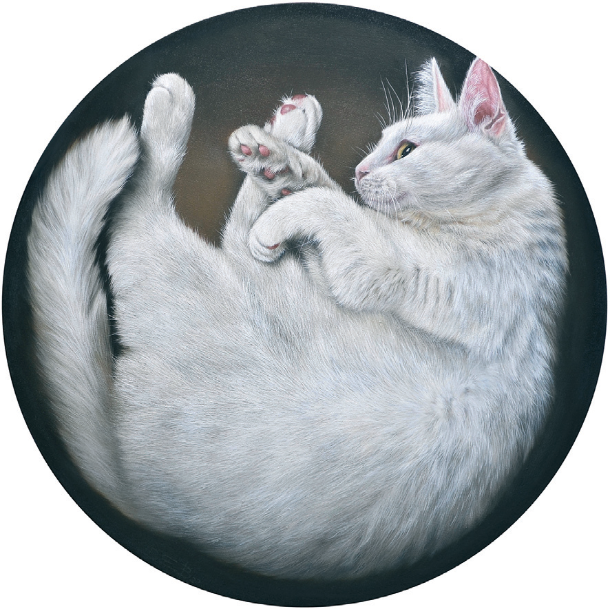 Фотография Кокосовый кот
