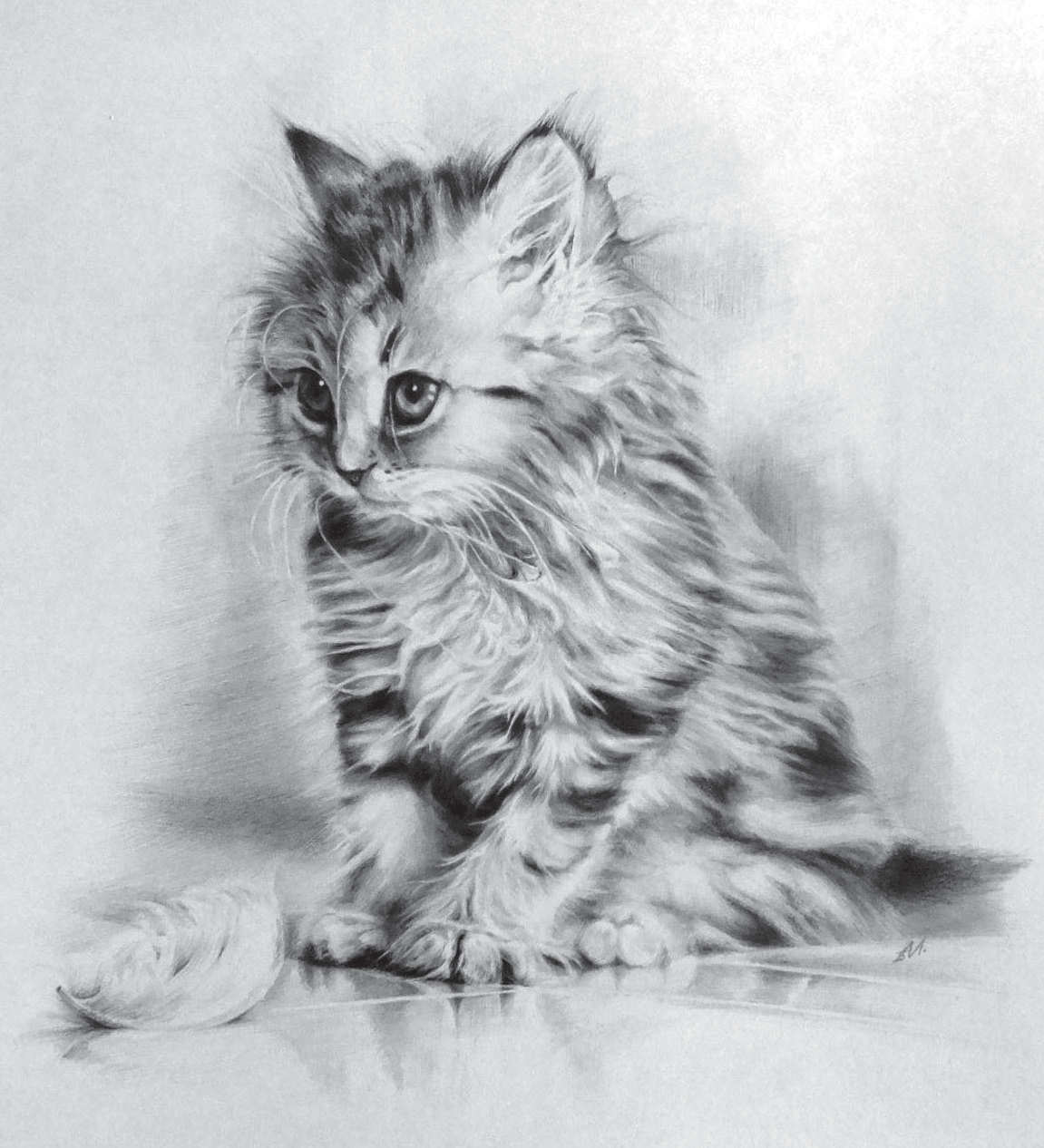 Котенок Дейзи Бена Тороде