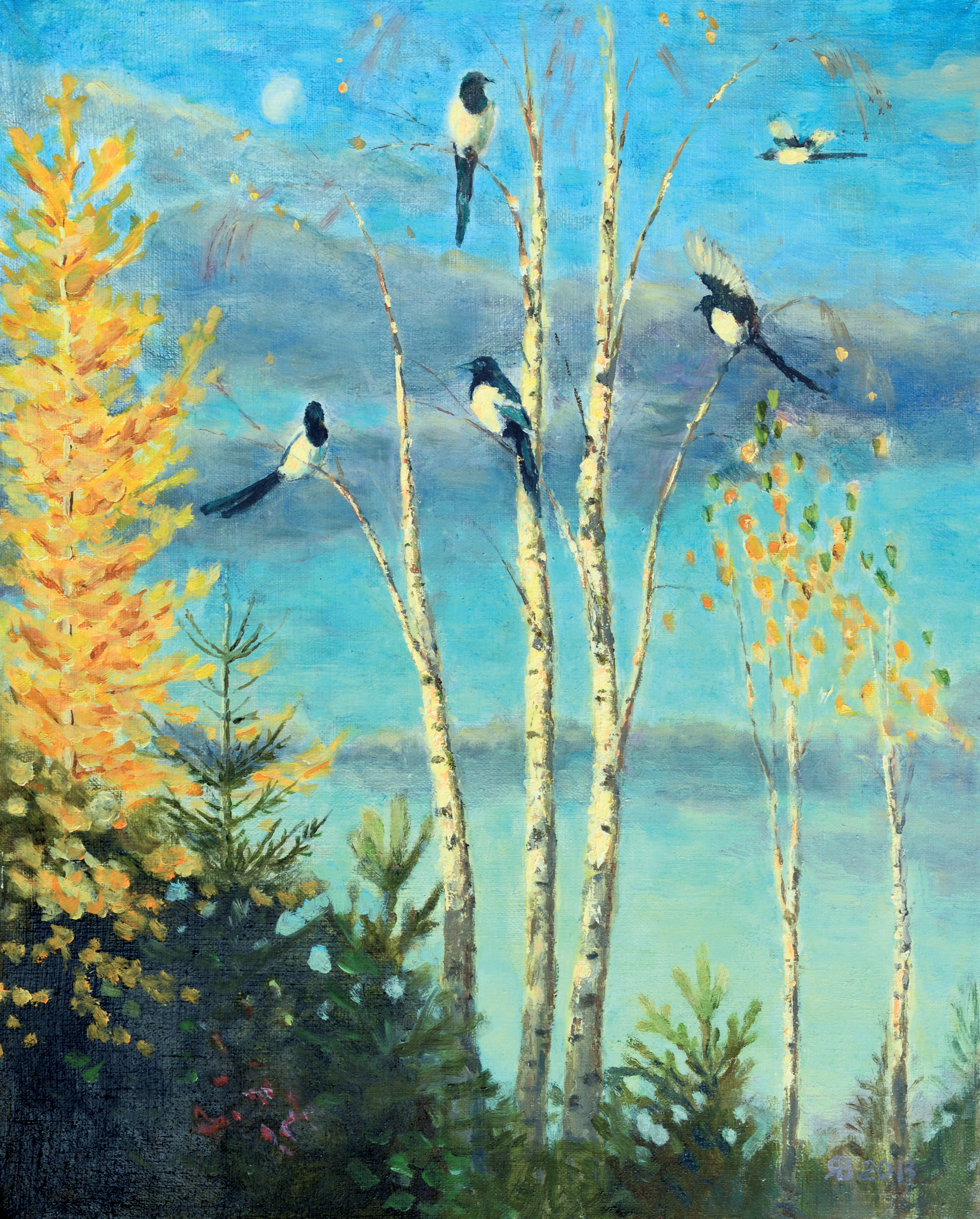 Фотография Утренние сороки