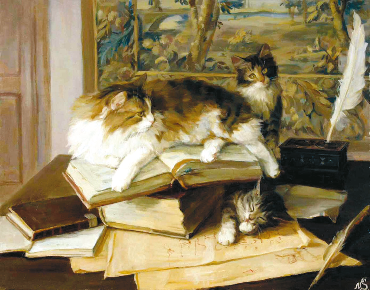 Коты и книги