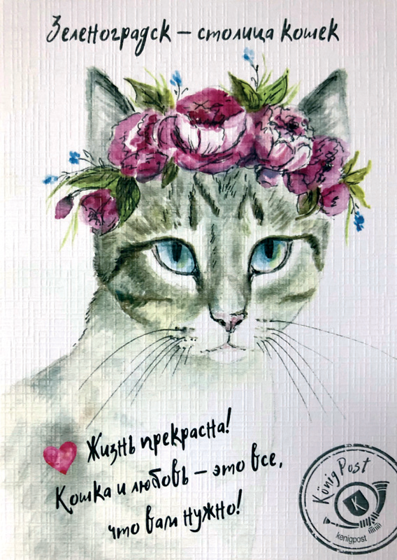 Открытка «Зеленоградск — столица котиков»